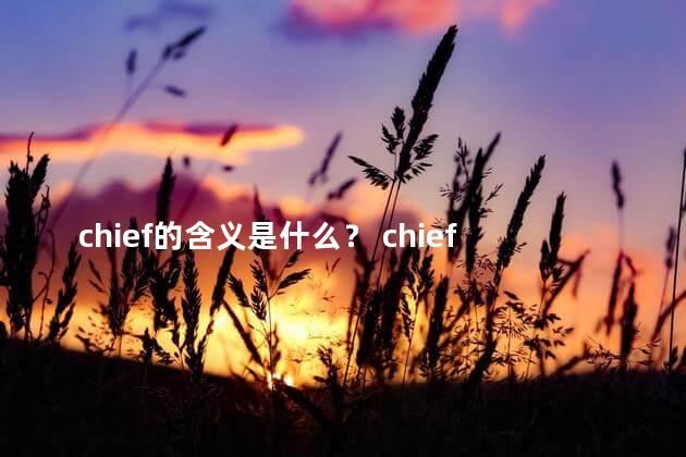 chief的含义是什么？ chief有小偷的意思吗